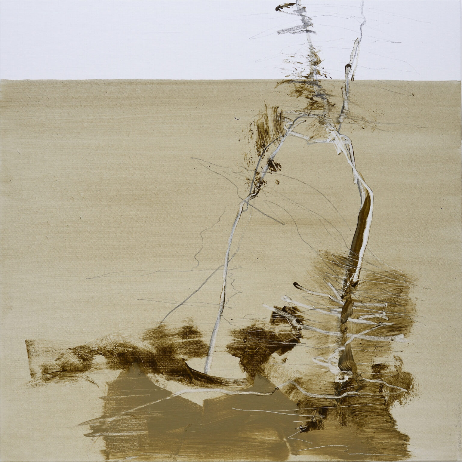 The smell of wet wood, 122 x 122 cm